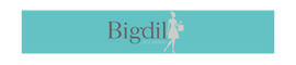 BIGDIL Maroc ATTRACTIVE BUSINESS MAROC