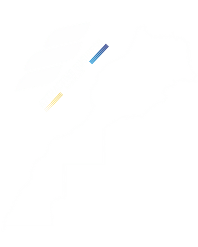 ATTRACTIVE BUSINESS MAROC MAPS MAROC (1) Maroc À propos